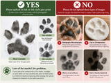 Pet Memorial Keyring, Your Pets Actual Paw Print, Metal Oval Keyring